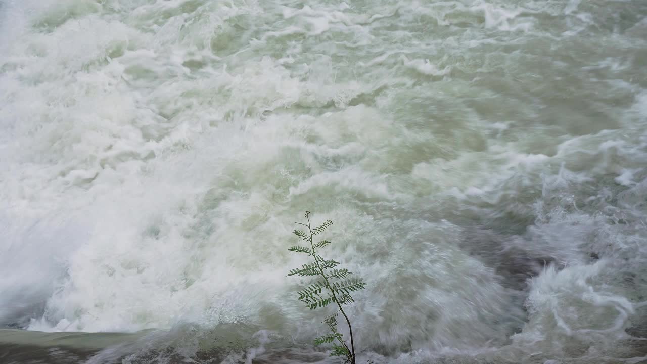 水从大坝的堰中流出。视频素材