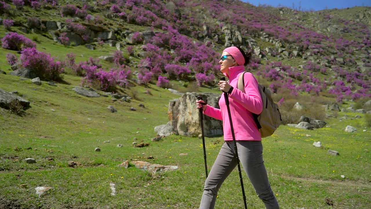 旅行家女人背着背包走在高山的花山上视频素材