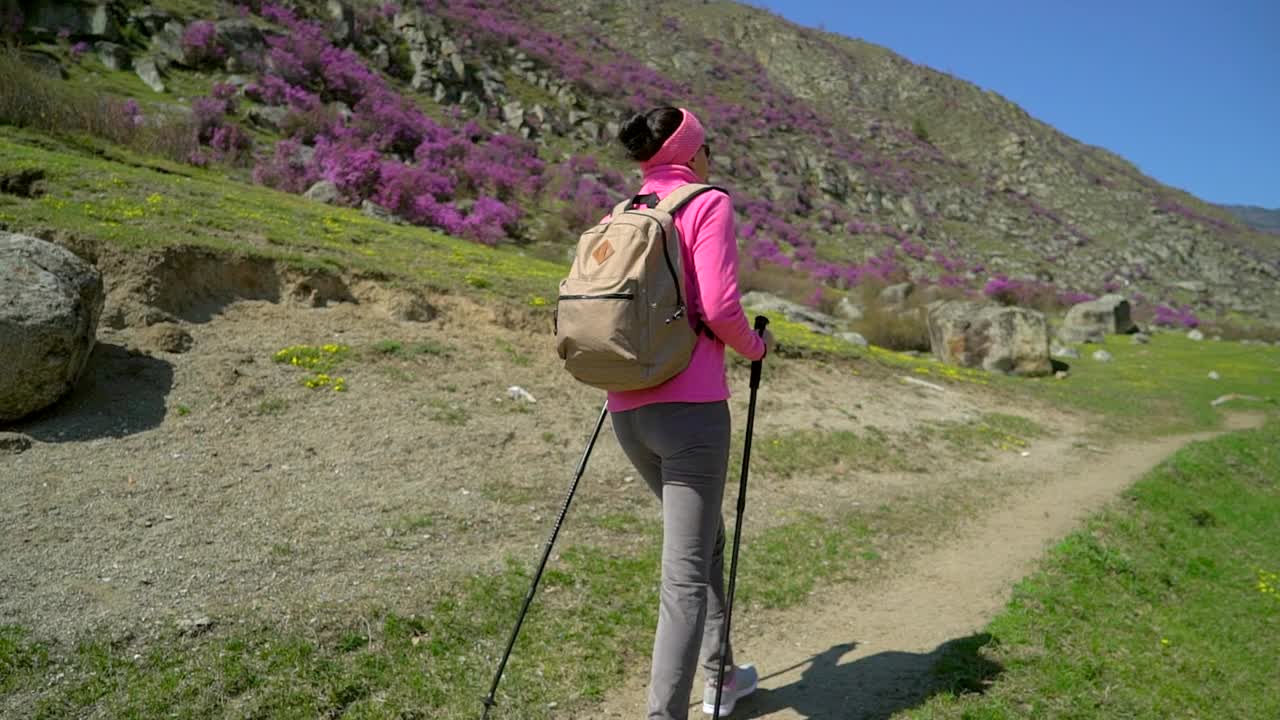 旅行家女人背着背包走在高山的花山上视频素材