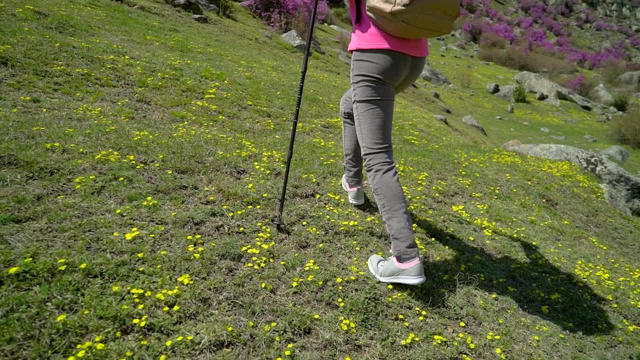 旅行家女人背着背包走在高山的花山上视频素材