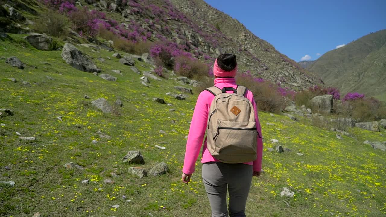 徒步旅行者旅行者女人背包徒步徒步爬上高山的花山视频素材