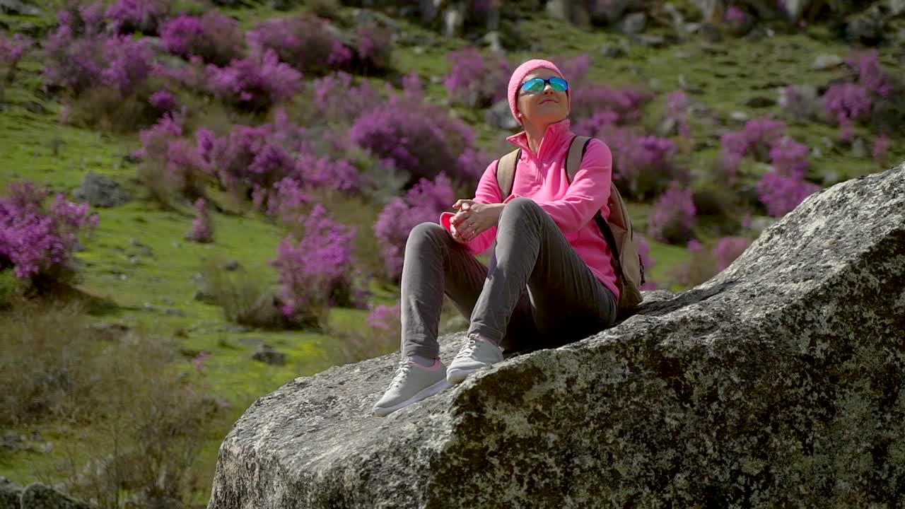 徒步旅行者旅行者女人背包享受高山粉红色的花山视频素材