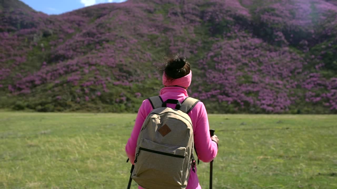 旅行家女人背着背包走在高山的花山上视频素材