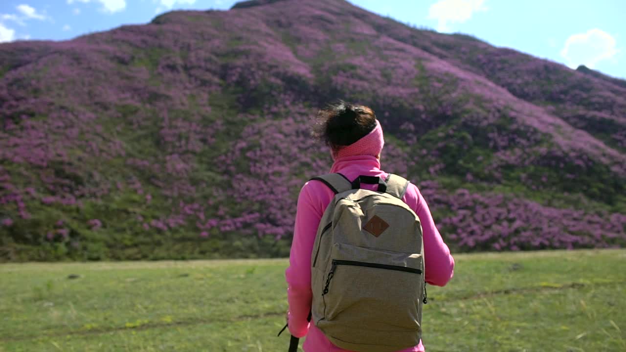 旅行家女人背着背包走在高山的花山上视频素材