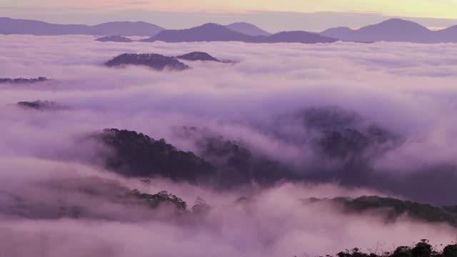 在有雾的早晨，山谷中层层叠叠视频素材