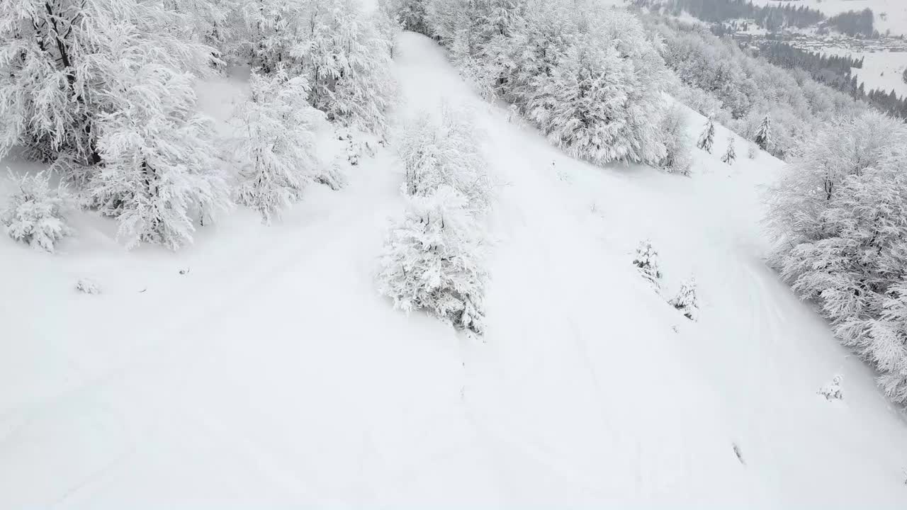 白雪和白霜覆盖着树木和山顶的山坡。冬天的风景像白雪一样美丽。俯视图从无人机。视频素材