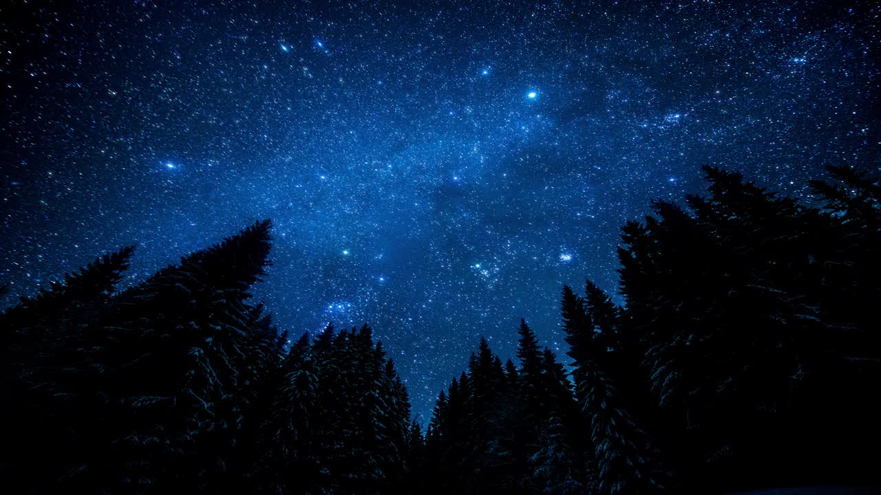 夜林中星光闪烁的天空。Cinemagraph视频素材