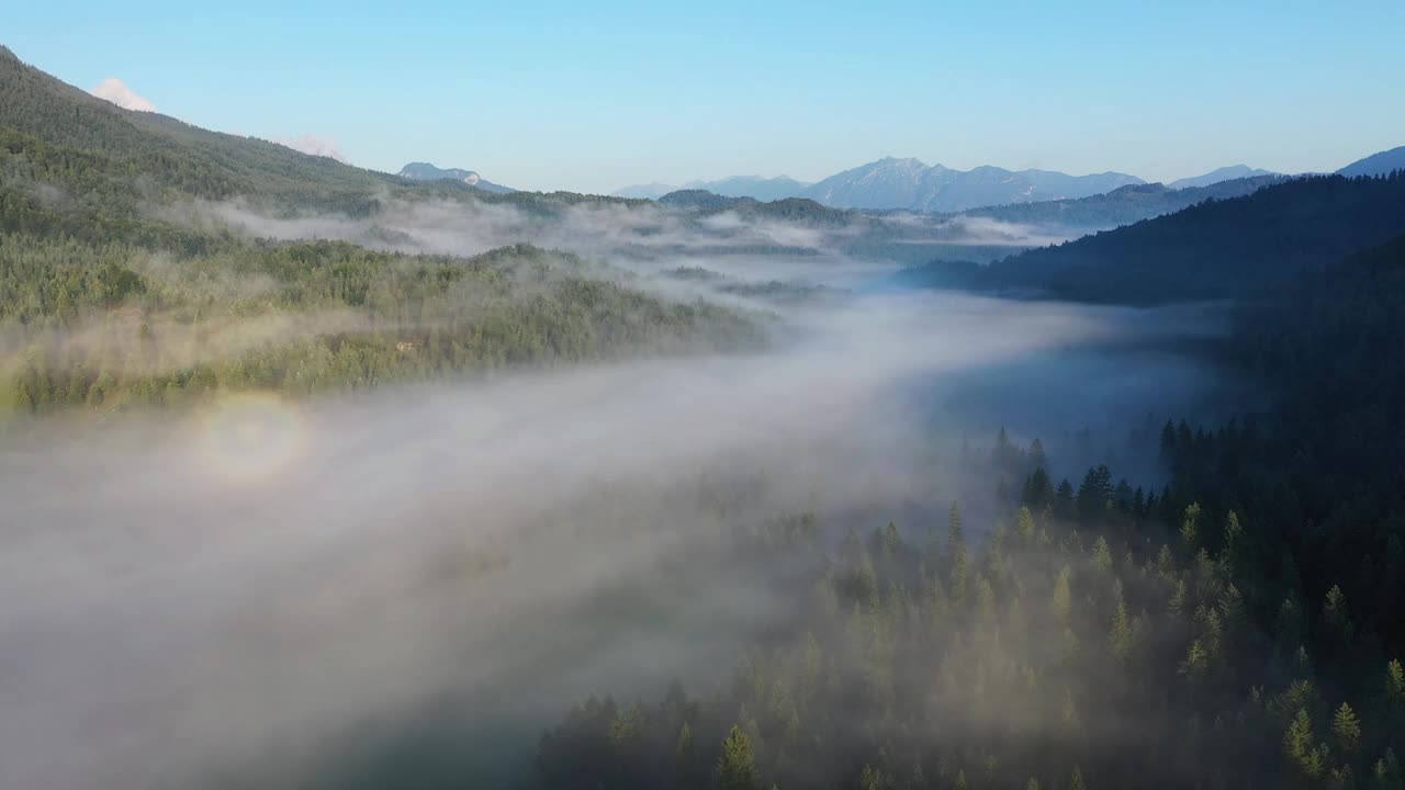 在巴伐利亚州费钦湖的森林上空飞行视频素材