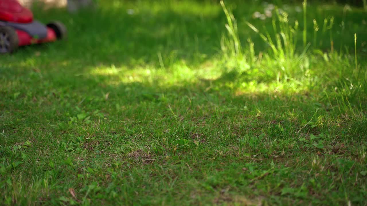 用电动割草机修剪草坪。在花园里割草坪上的草。夏天在花园里干活。视频素材