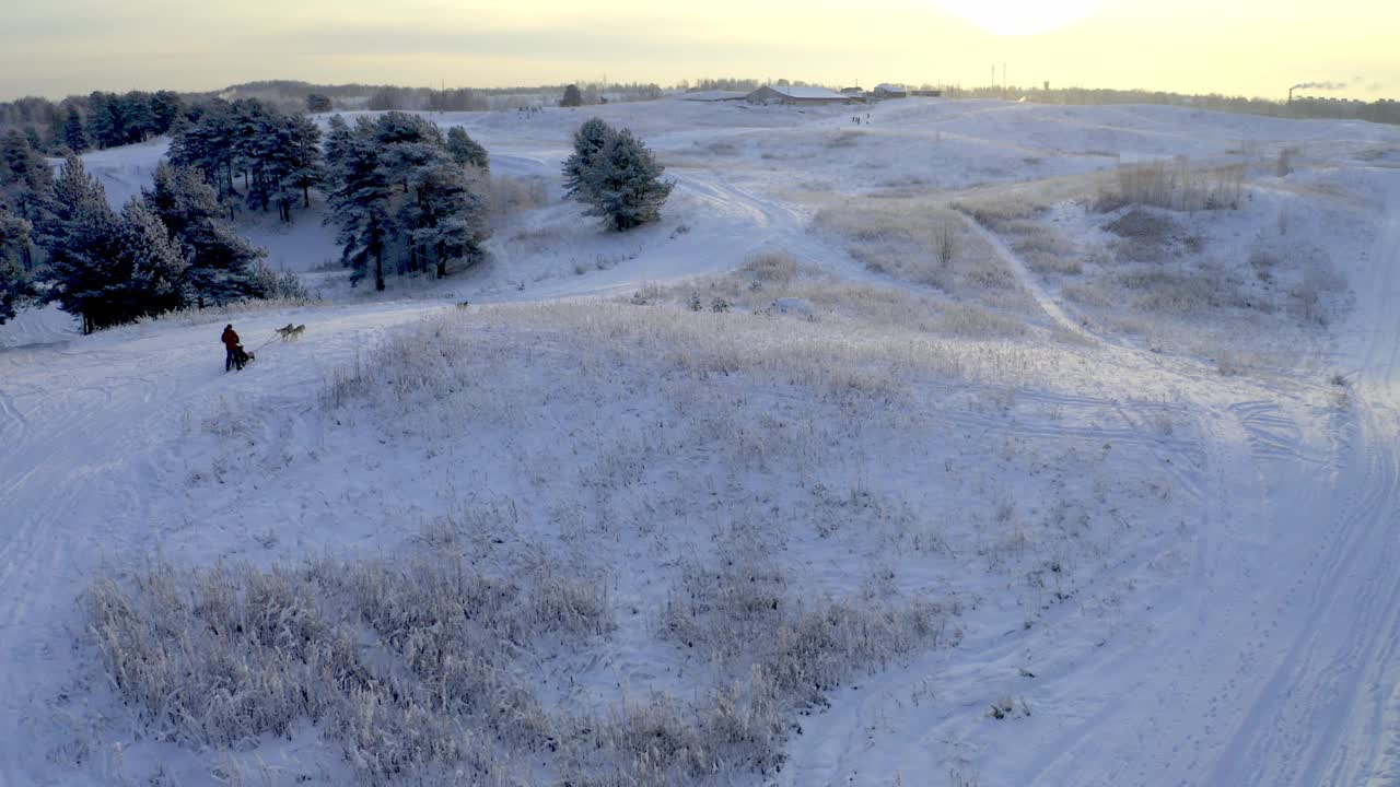 无人机飞过狗拉雪橇的人在雪地上滑行视频下载