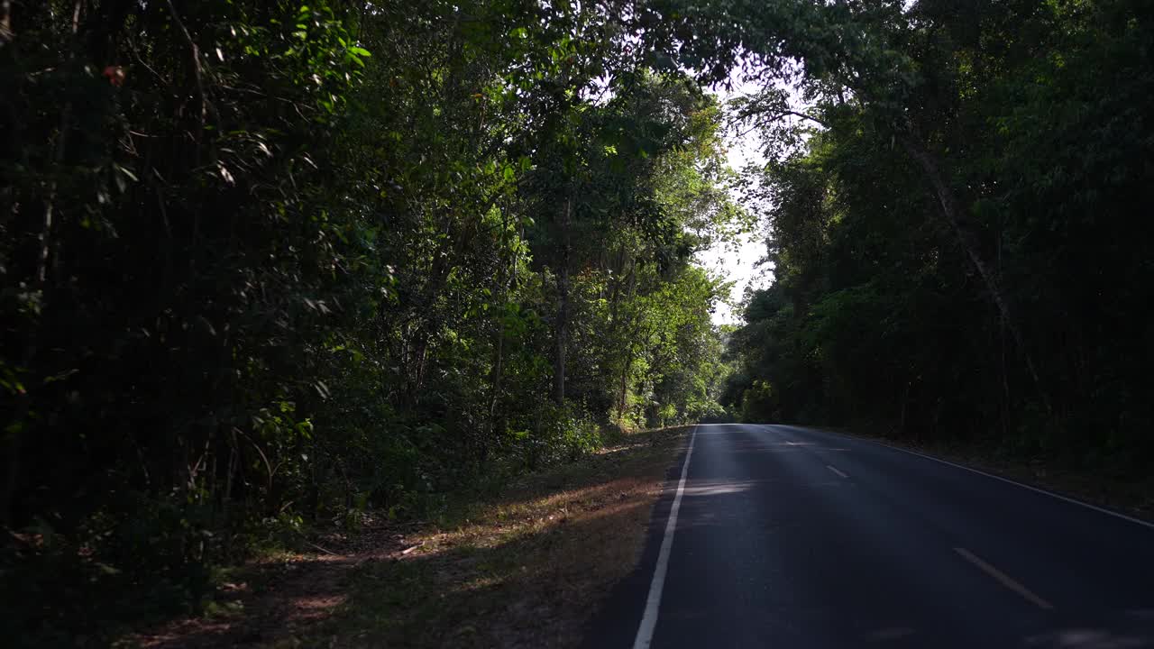 观景于自然场地上的道路，树木和森林景观运动感，旅行到乡村，度假自由放松时间的概念，用于温泉和生态绿色艺术品视频素材