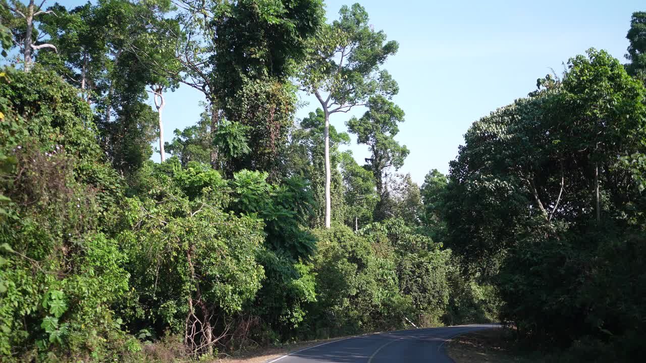 观景于自然场地上的道路，树木和森林景观运动感，旅行到乡村，度假自由放松时间的概念，用于温泉和生态绿色艺术品视频素材