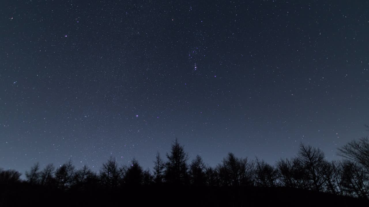 在森林上空的夜空中移动的冬季三角(延时)视频素材