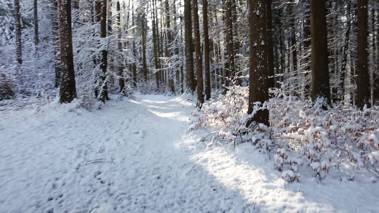 穿越雪域森林，个人视角视频素材