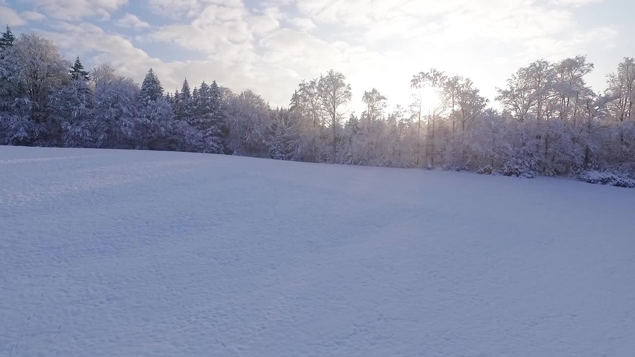 日落前飞过白雪覆盖的森林，德国巴伐利亚视频素材