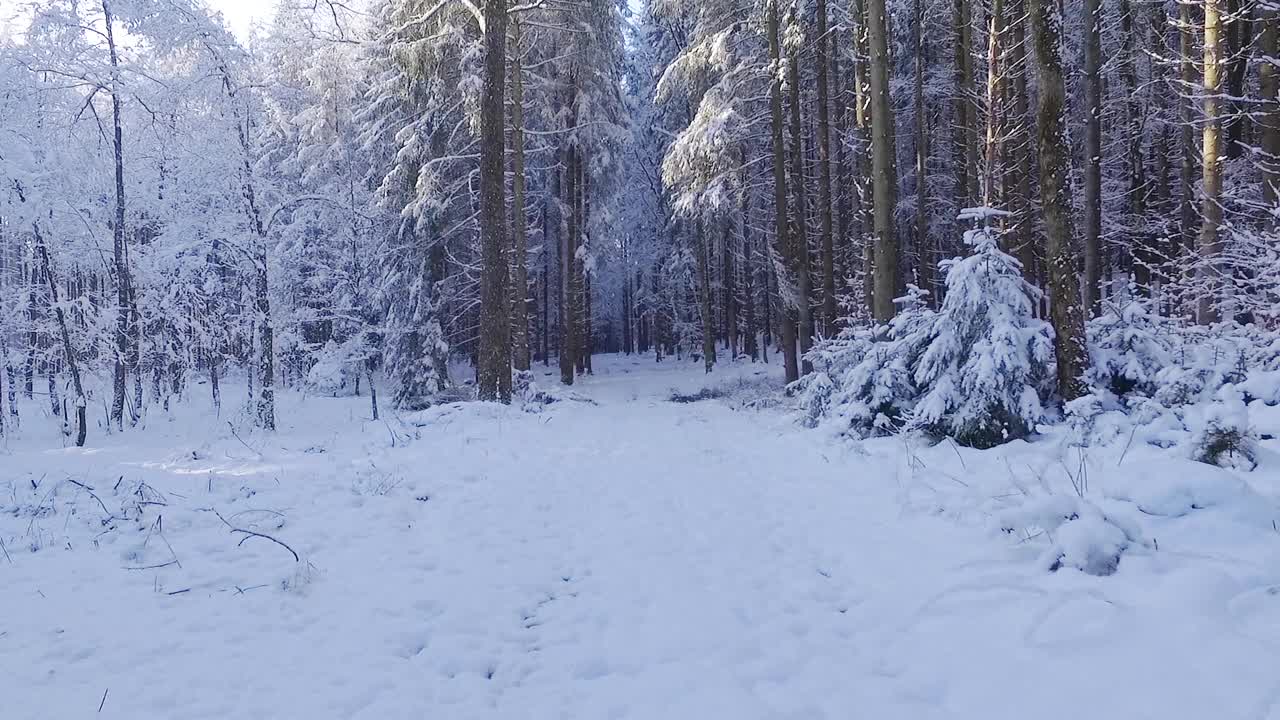 穿越雪域森林，个人视角视频素材