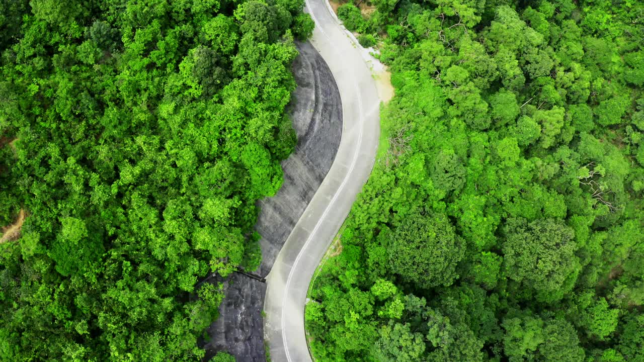 鸟瞰图的乡村道路在绿色的夏季森林。香港的乡郊景观视频素材