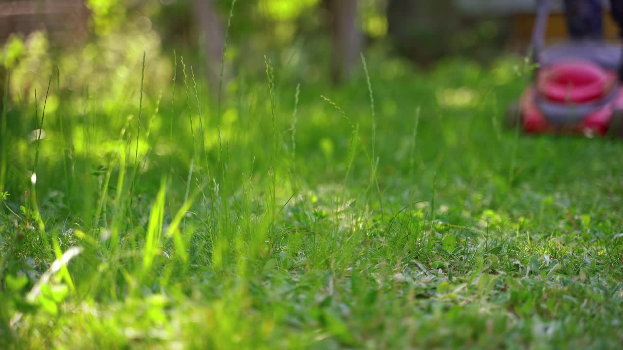 花园里的割草机。园丁在后院割绿草。夏季电动割草机。特写镜头。视频素材