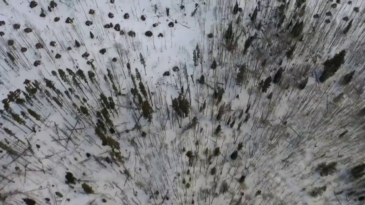 飞越科罗拉多山脉雪景视频素材