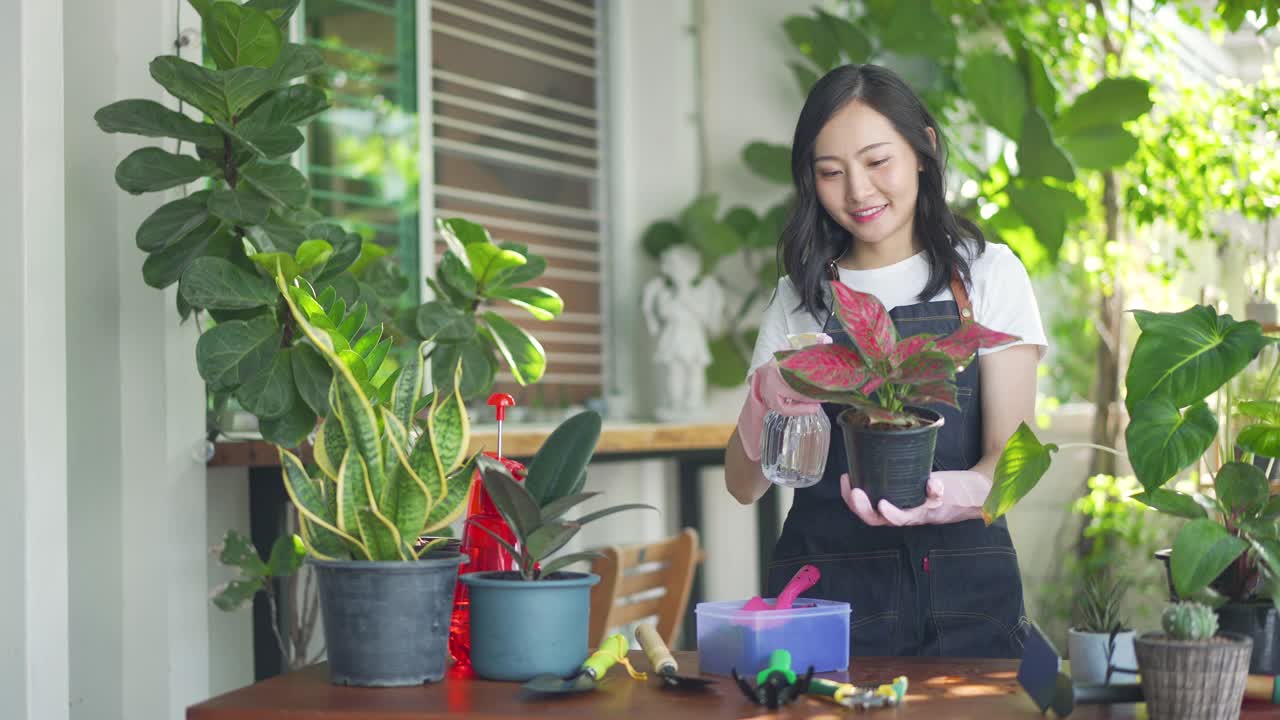 亚洲妇女园丁在家里的花园里给植物浇水。视频素材