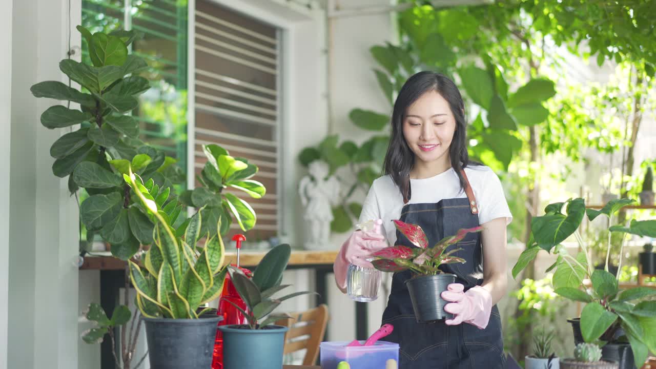 亚洲妇女园丁在家里的花园里给植物浇水。视频素材