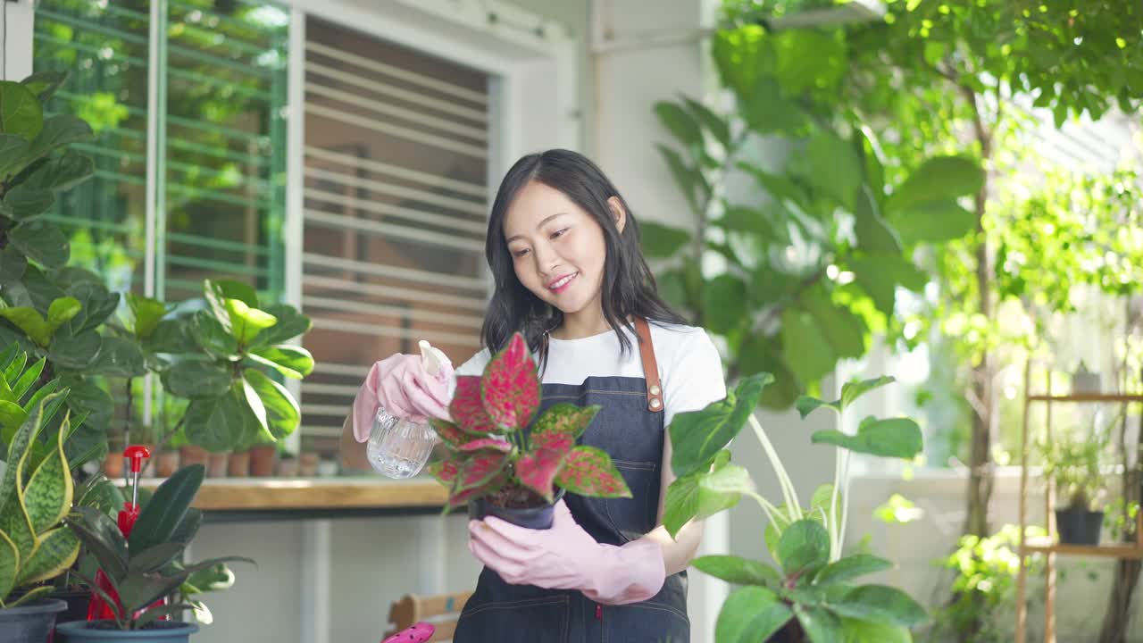 亚洲妇女园丁在家里的花园里给植物浇水。视频素材