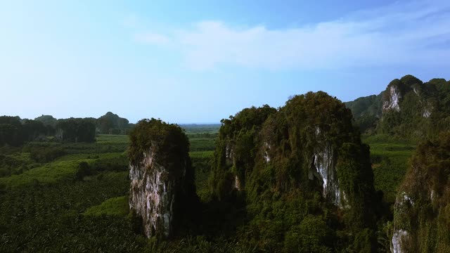 风景棕榈田在甲米，泰国。视频素材