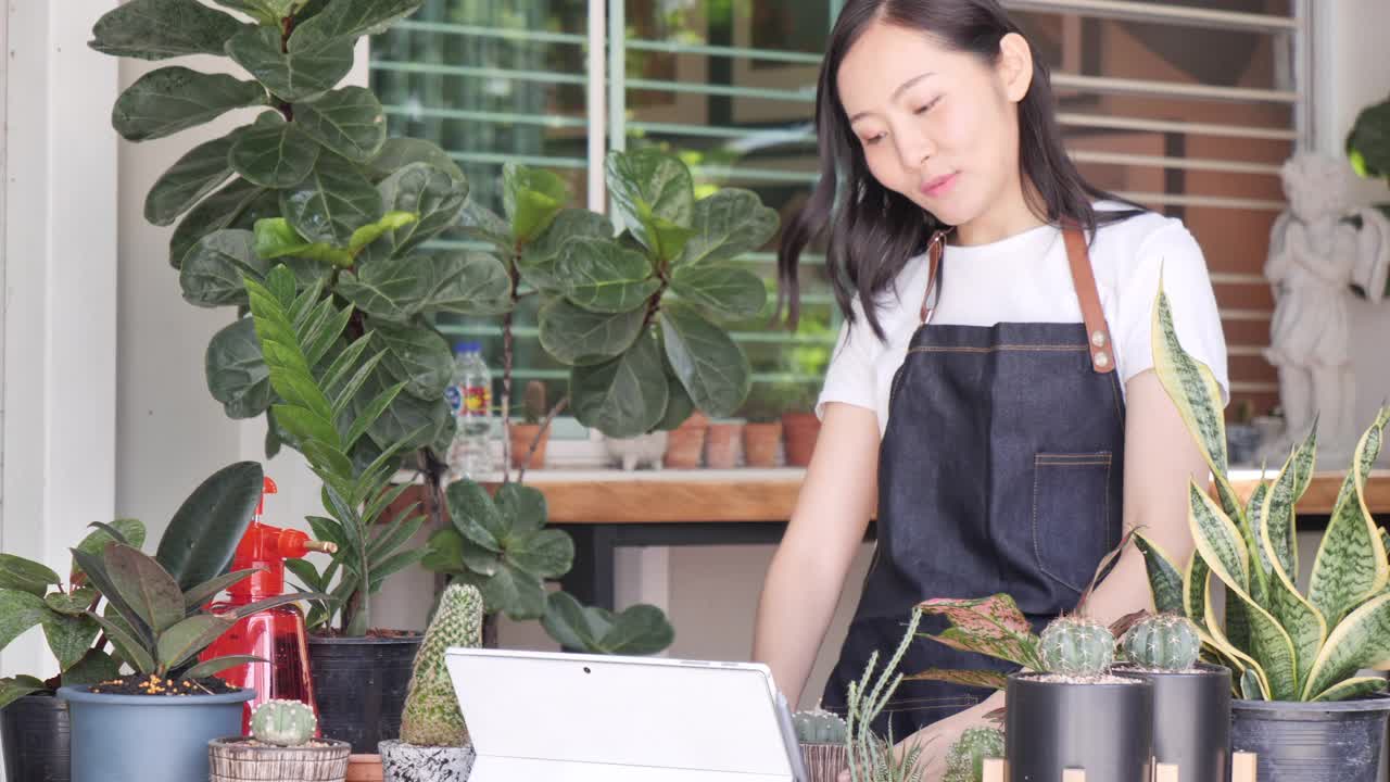 女企业家工作与笔记本电脑在家中在线直播室内植物，销售在线概念视频素材