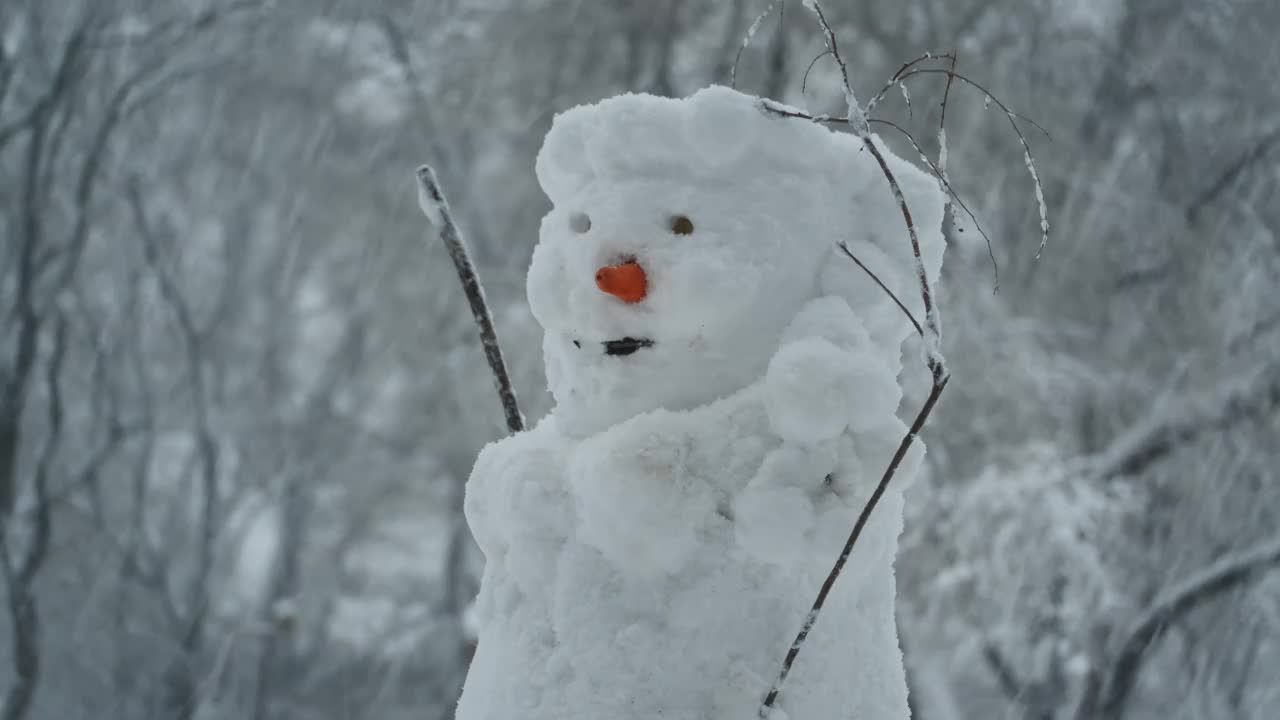 在大雪的背景下，快乐有趣的雪人。视频素材