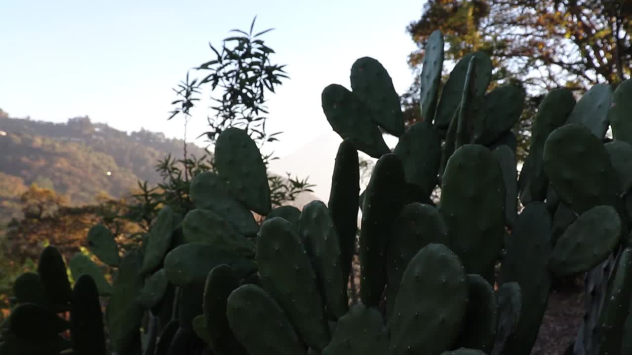 危地马拉的火山景观，日落时的危地马拉火山视频素材