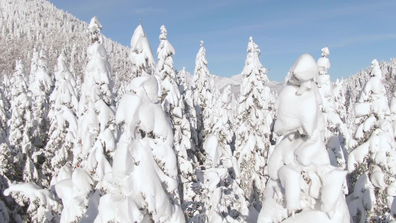 AERIAL:斯洛文尼亚山区，风景如画的雪景。视频素材