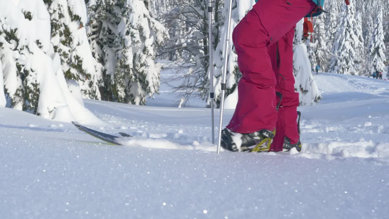 近距离:详细拍摄的一个滑雪旅游的滑雪板，而徒步沿着雪坡。视频素材