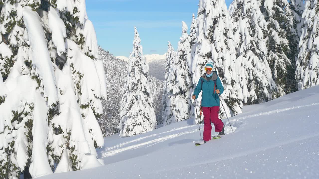 近距离观察:运动女子在劈板旅行踏着新鲜的粉末雪。视频素材