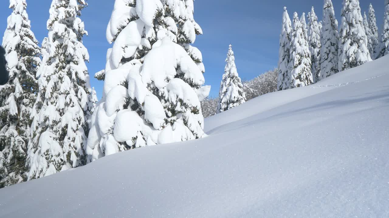 复制空间:女性游客在滑雪旅游探险中探索冬季山视频素材