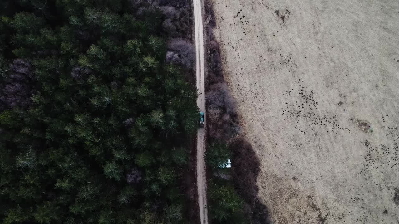 鸟瞰图上的汽车行驶在泥土路穿过松树林地视频素材