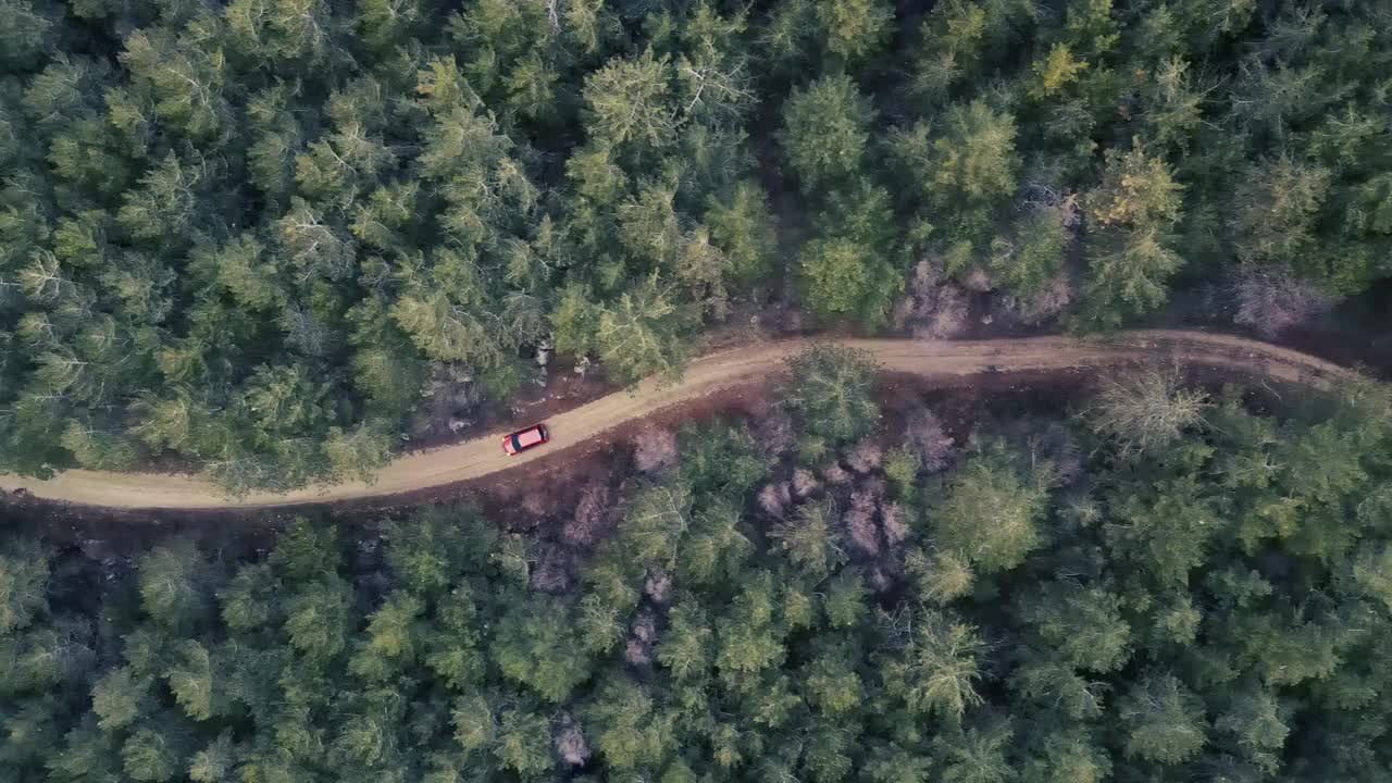 一辆汽车正行驶在碎石路上穿过森林视频素材