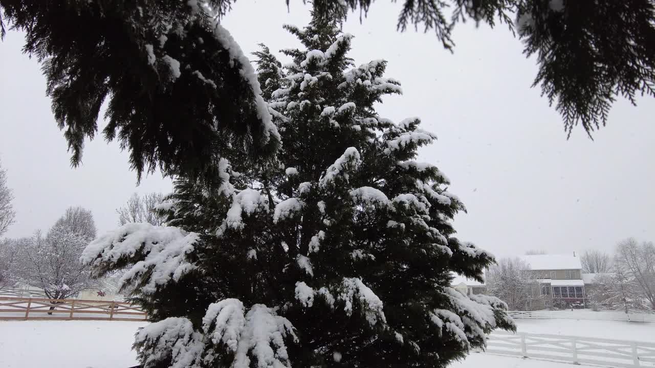 飘落的雪花视频素材