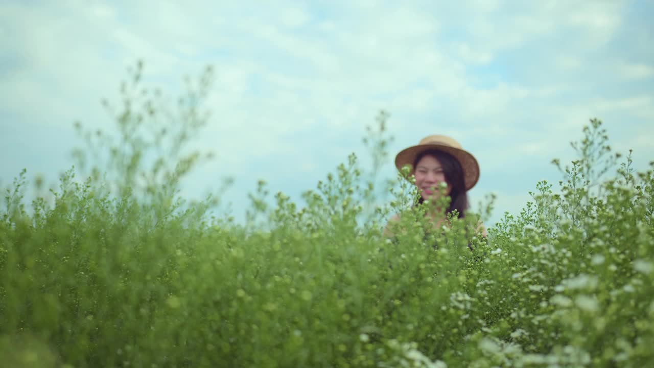 年轻迷人的亚洲女性穿着休闲服装沿着白色绿色美丽的花朵自然农场独自漫游的旅游理念走着，带着积极的情绪移动身体视频素材