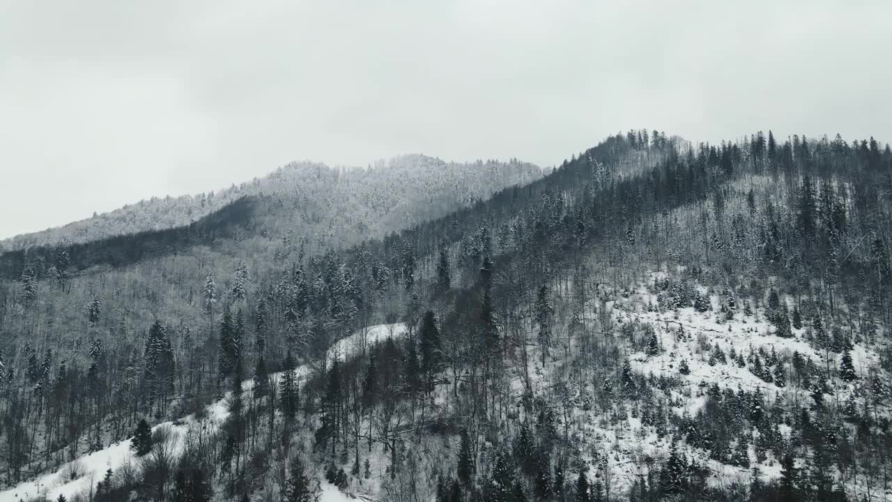 冬季的高山和白雪皑皑的树木构成了美丽的风景。由于严寒，树梢上覆盖着白冰。在冬天飞过群山。树被雪覆盖着视频素材