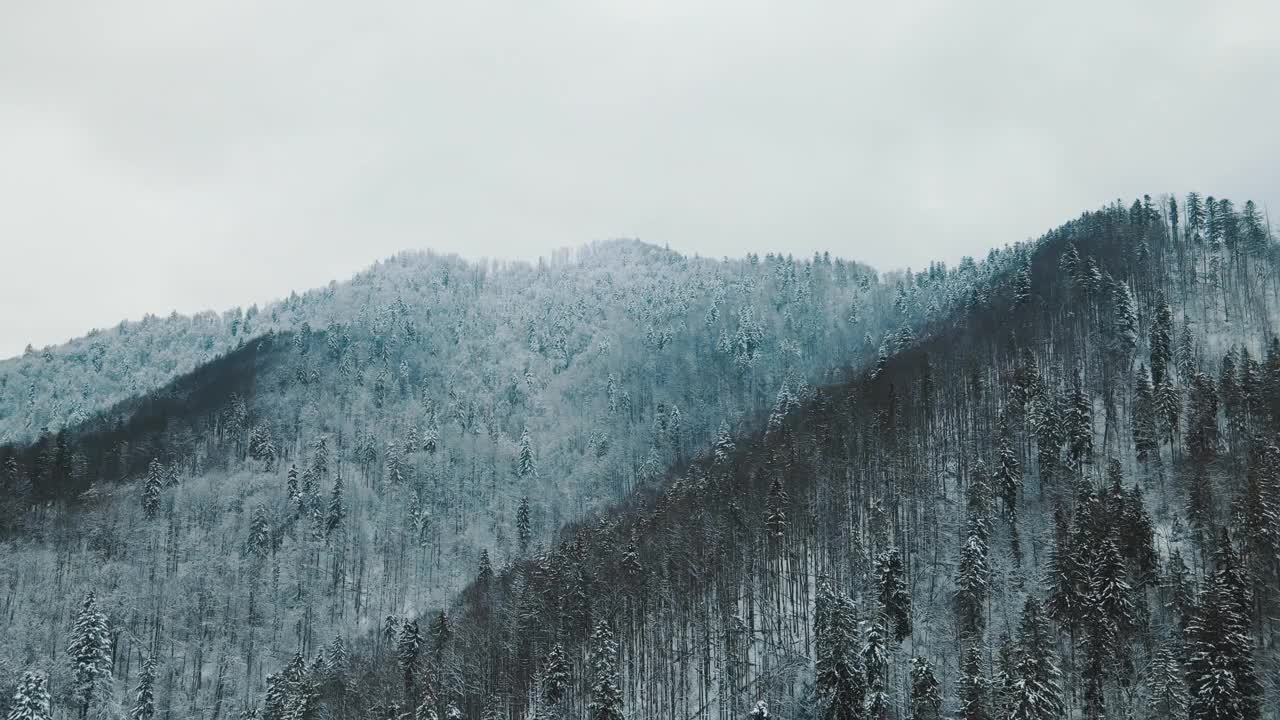 冬季的高山和白雪皑皑的树木构成了美丽的风景。由于严寒，树梢上覆盖着白冰。在冬天飞过群山。树被雪覆盖着视频素材