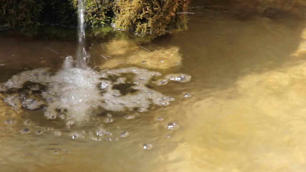 Coimbra Quinta das Lagrimas报道视频素材