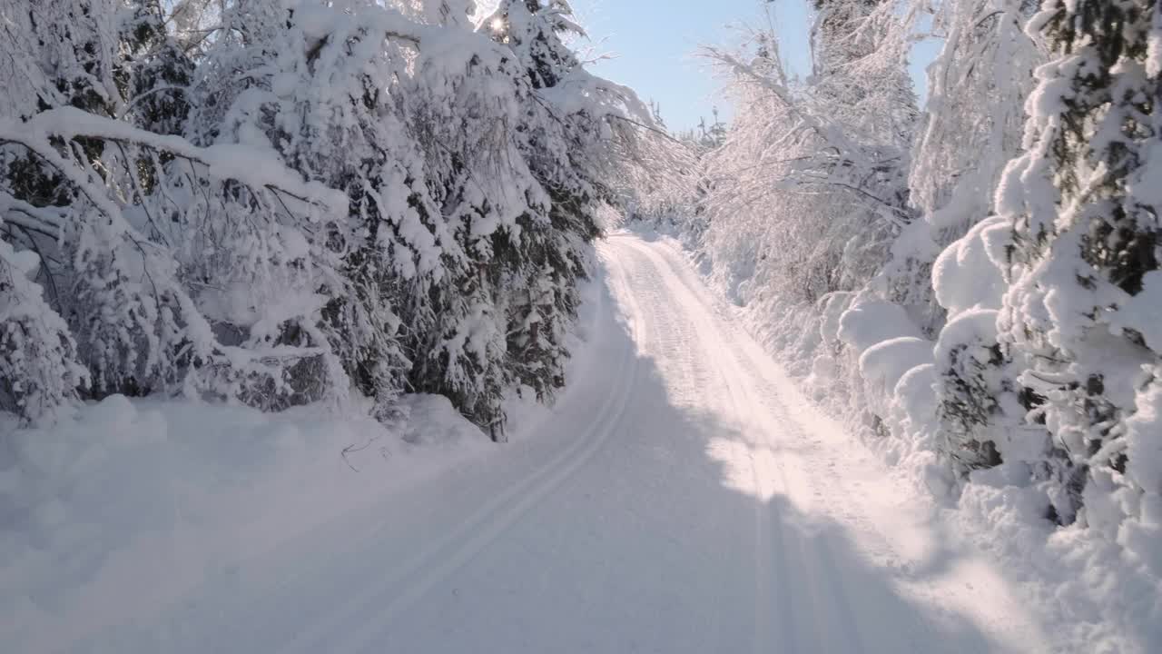 女子越野滑雪在挪威视频下载