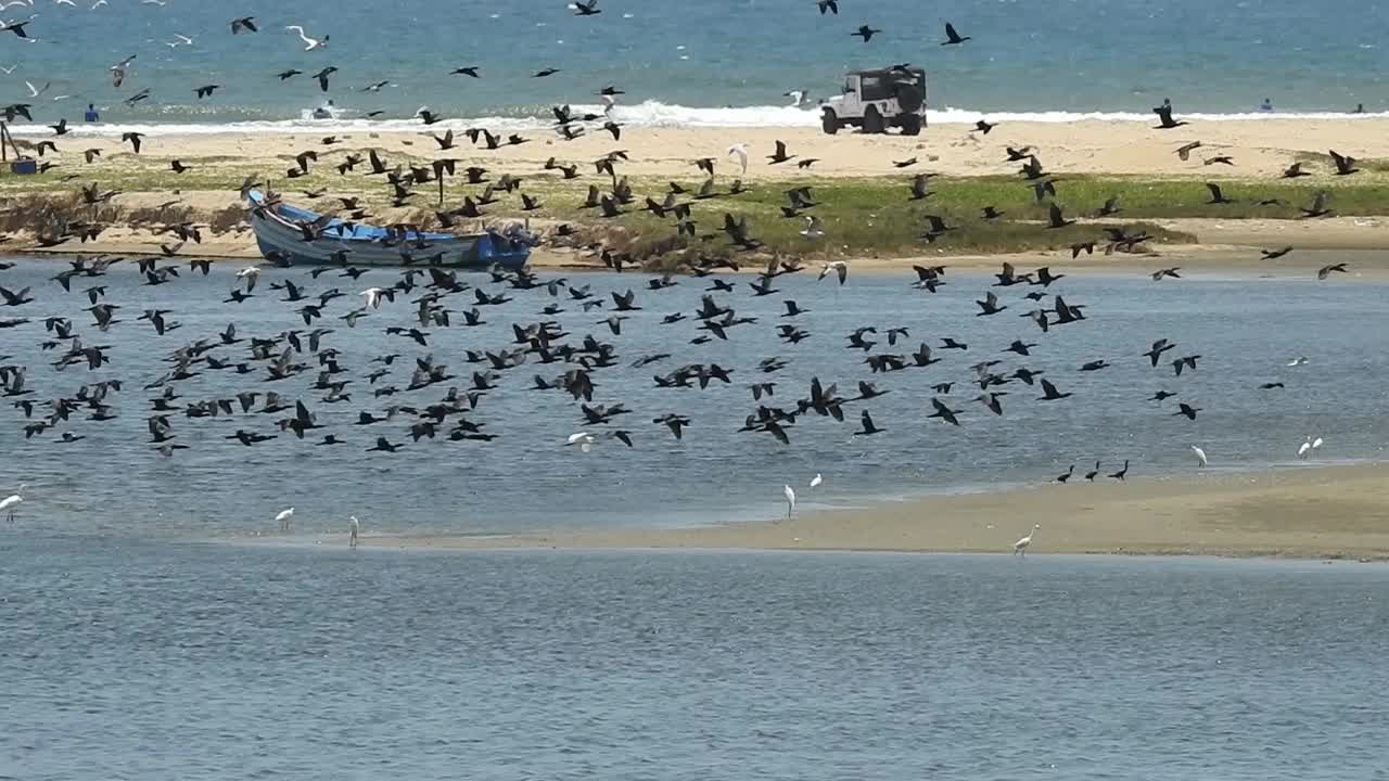 在景观中，太阳在海洋附近升起。特写镜头日出海滩。多云的海滩和巨浪袭击海岸。多云的海洋和平静的海滩景观。惊人的平静的海滩。早晨乌云密布的海滩上乌云密布。海面上的小波浪日落。视频素材