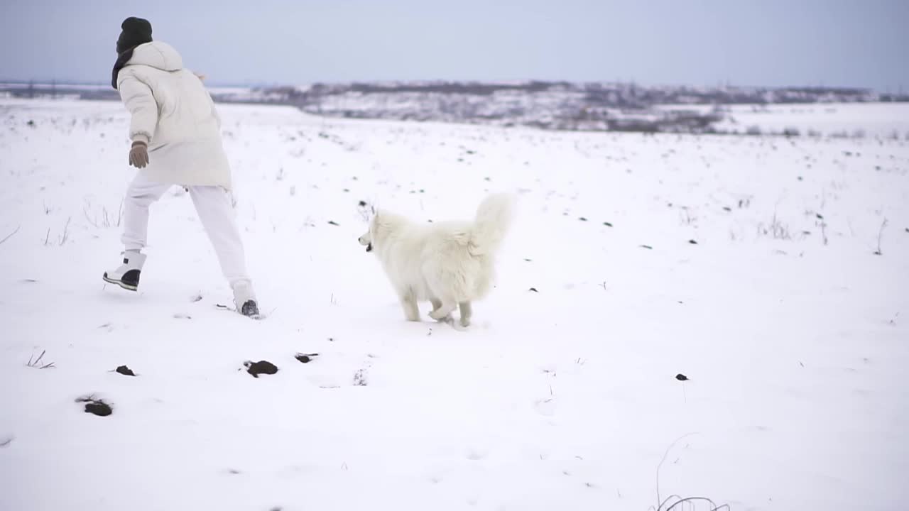 年轻女子在户外与家人和狗一起享受第一场雪，扔雪球视频素材