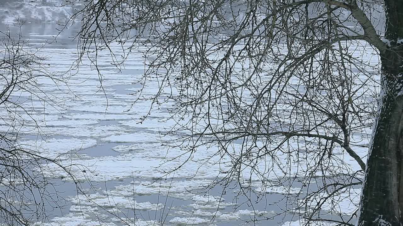 雪和冰在河上漂流视频素材