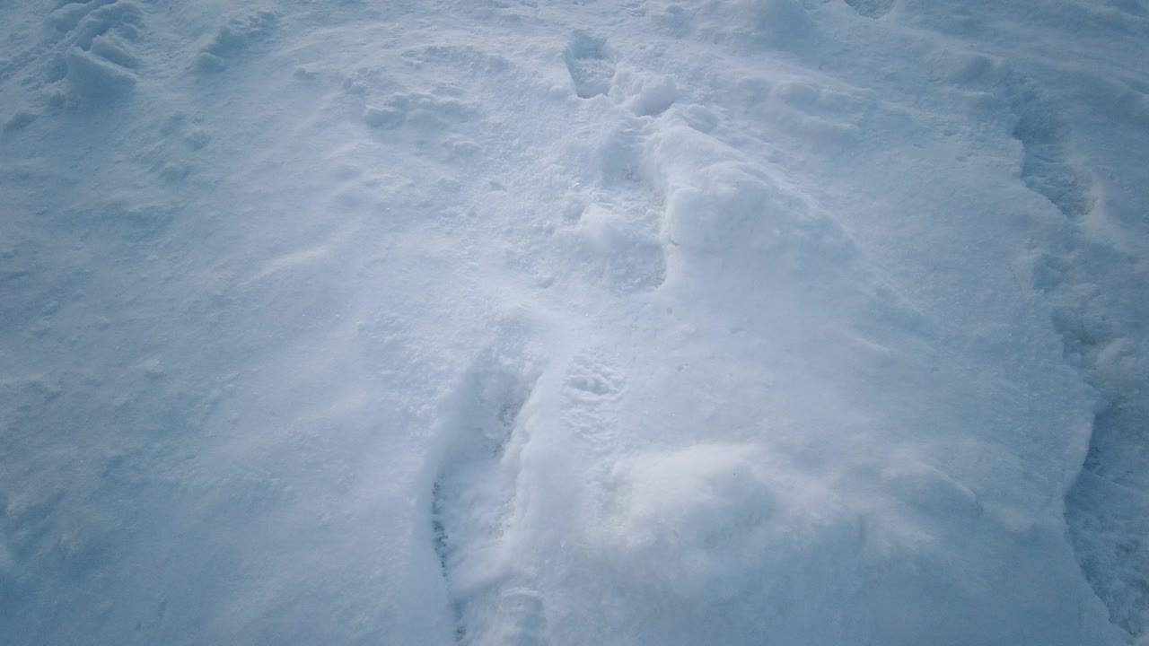 靴子在深雪波夫的雪痕迹。相机跟随雪地上的痕迹。视频素材