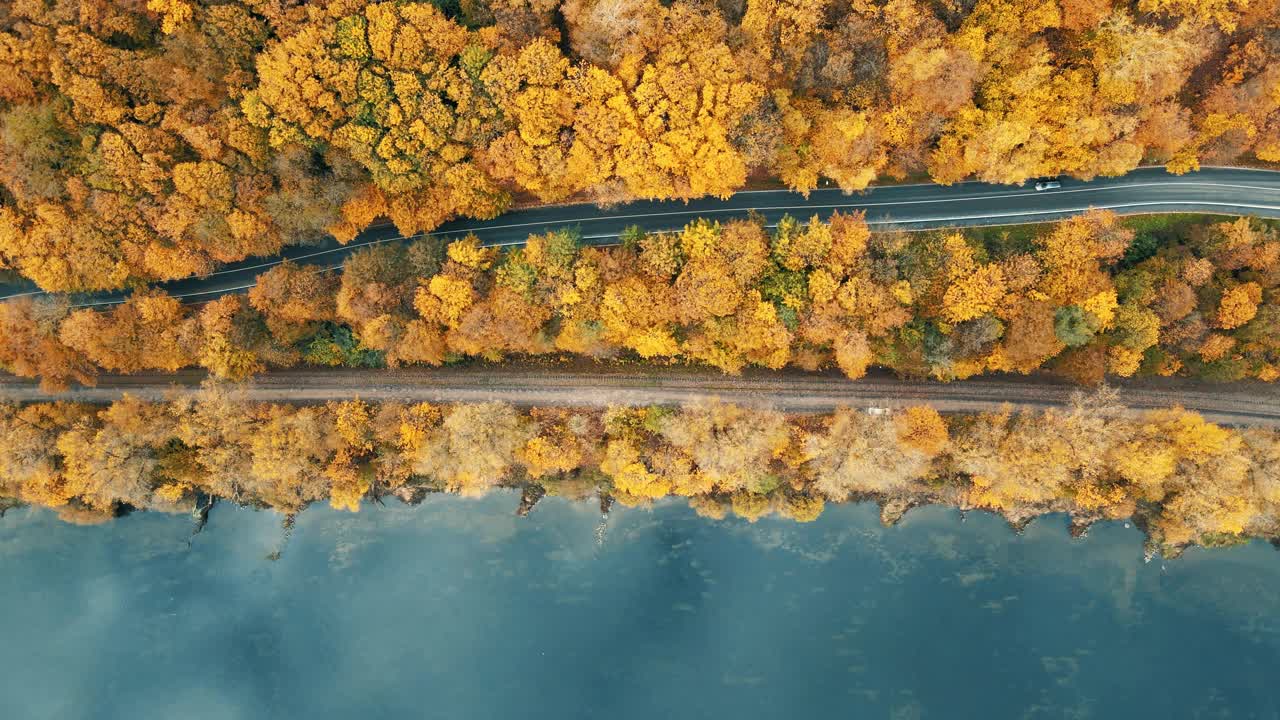 空中4K镜头，金色多彩的秋树。飞过河边的公路和铁路视频素材