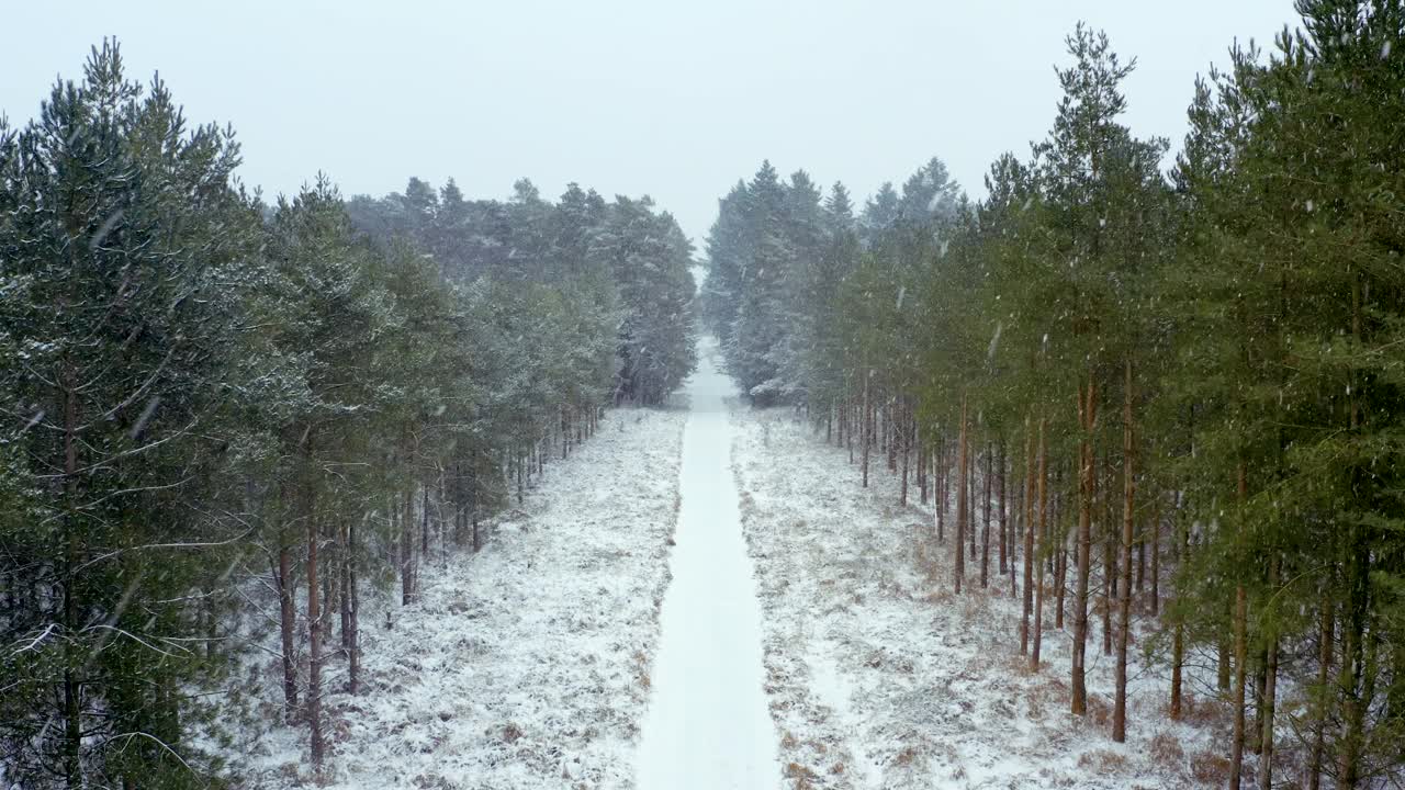 正在上升的无人机剪辑显示了通过积雪森林的轨迹视频素材