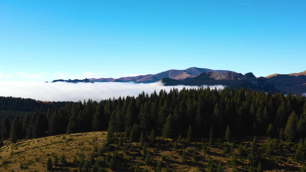 清晨飞过松林，神奇的雾在山上。空中射击。在山间的晨雾中飞翔。在雄伟梦幻的森林上空有云的山谷。视频素材