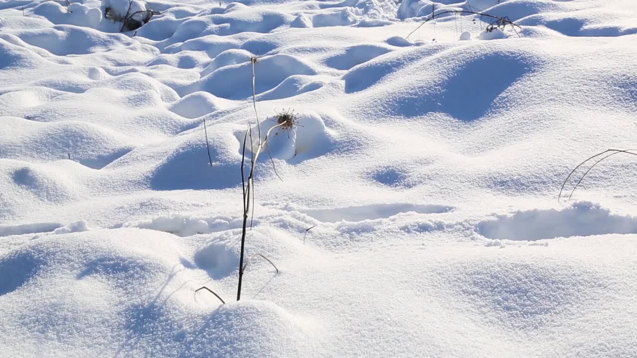 冬天的一天，一场雪后，一个人在雪地里走着。视频素材